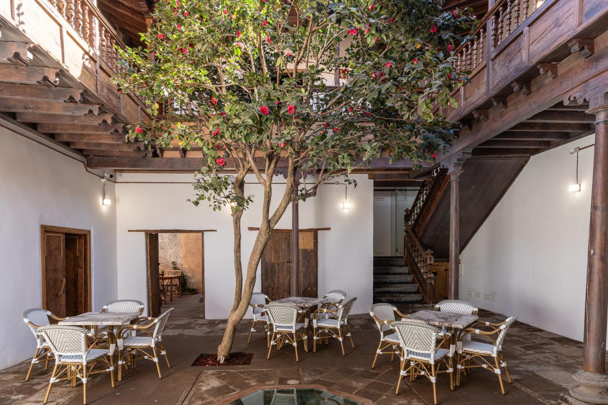 La Casa De La Camelia Otel La Laguna  Dış mekan fotoğraf