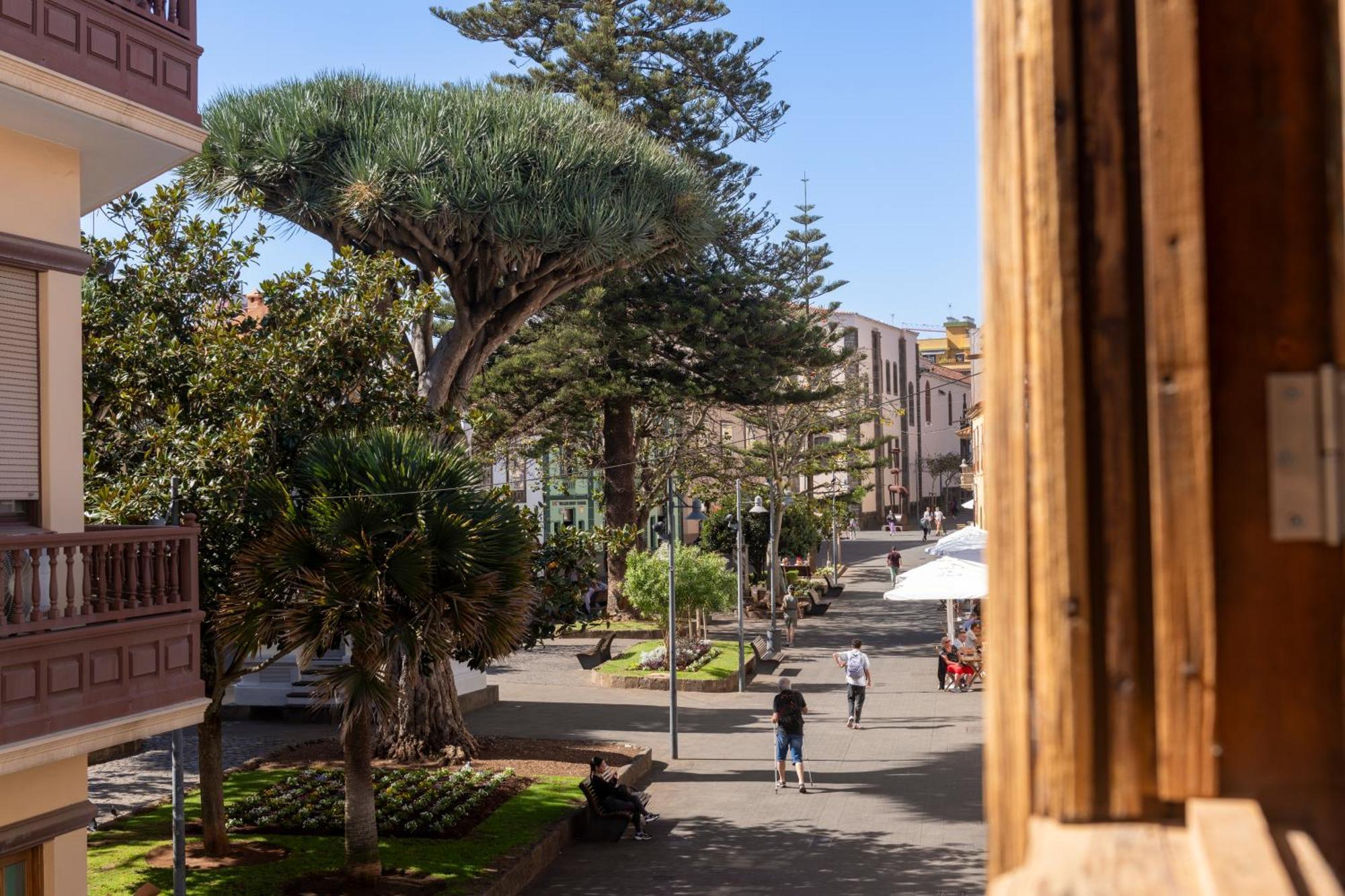 La Casa De La Camelia Otel La Laguna  Dış mekan fotoğraf